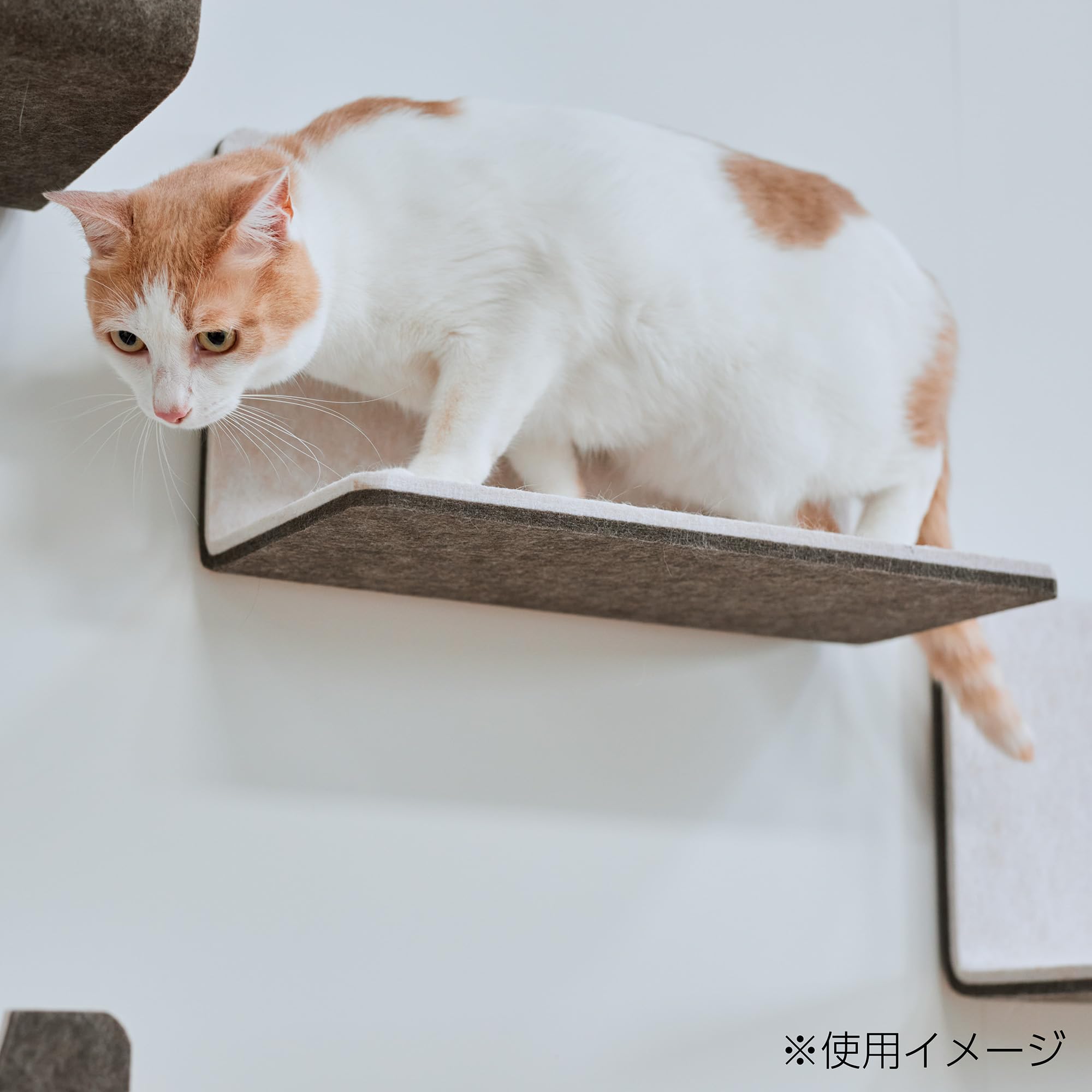 Amazon.co.jp: LIXIL(リクシル) キャットウォーク 猫壁(にゃんぺき